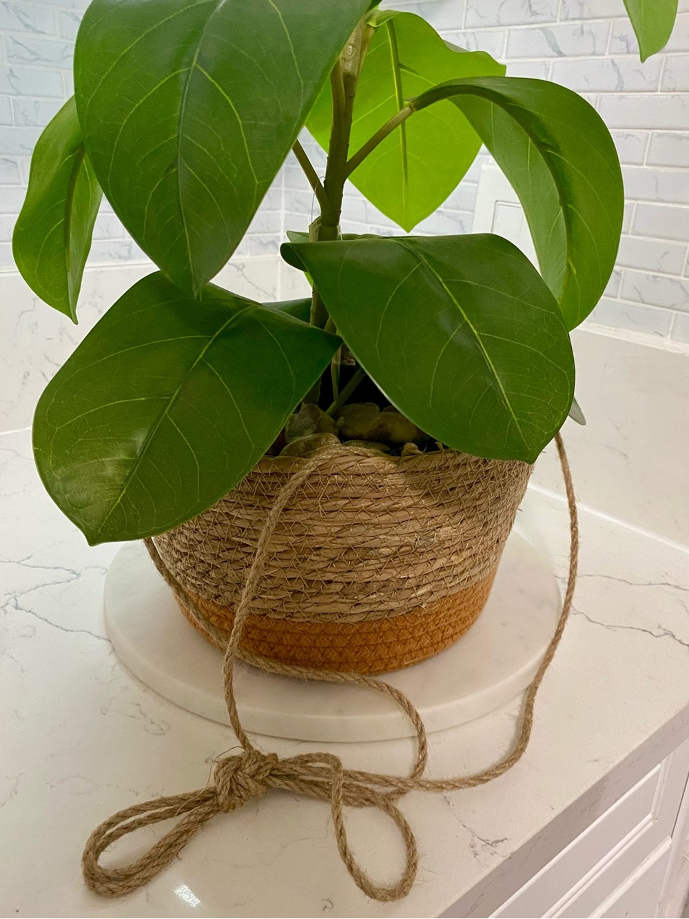 Woven Hanging Planter Basket with Mustard Accent